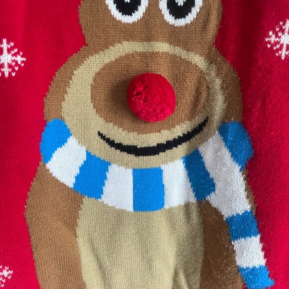 Reindeer with 3D Pom Pom Nose - Picture 2 of 9
